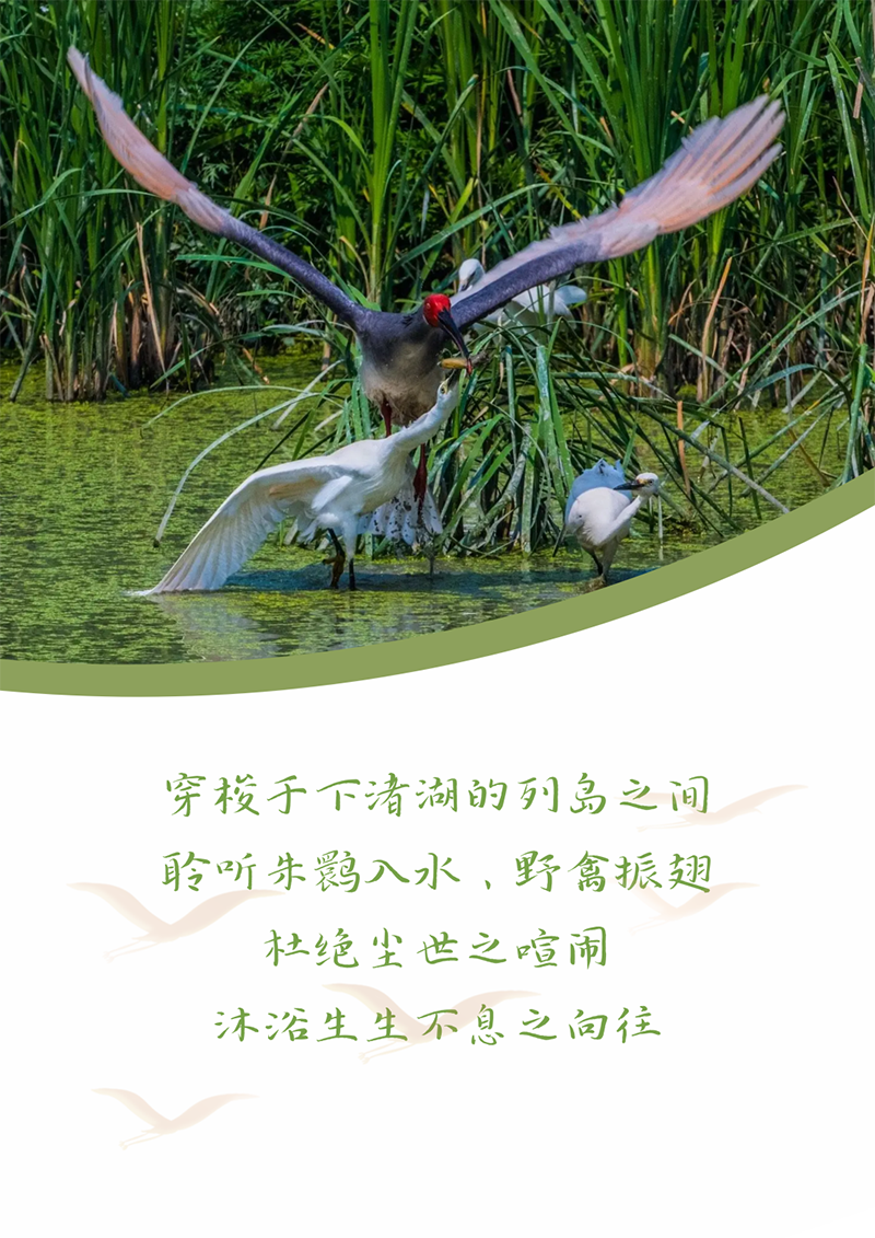 ������إ ��鿭ʱ | �������Լ ��إ�ص���